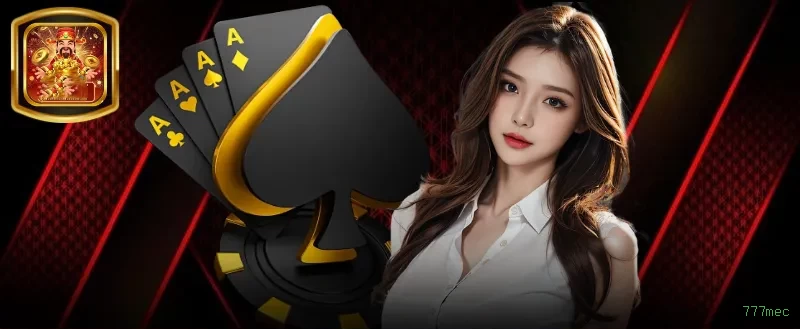 Interface Premium 777mec